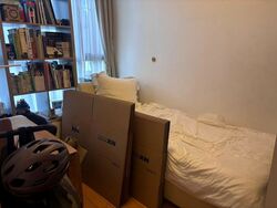 Angullia Park Residences @ Orchard (D10), Apartment #527092821